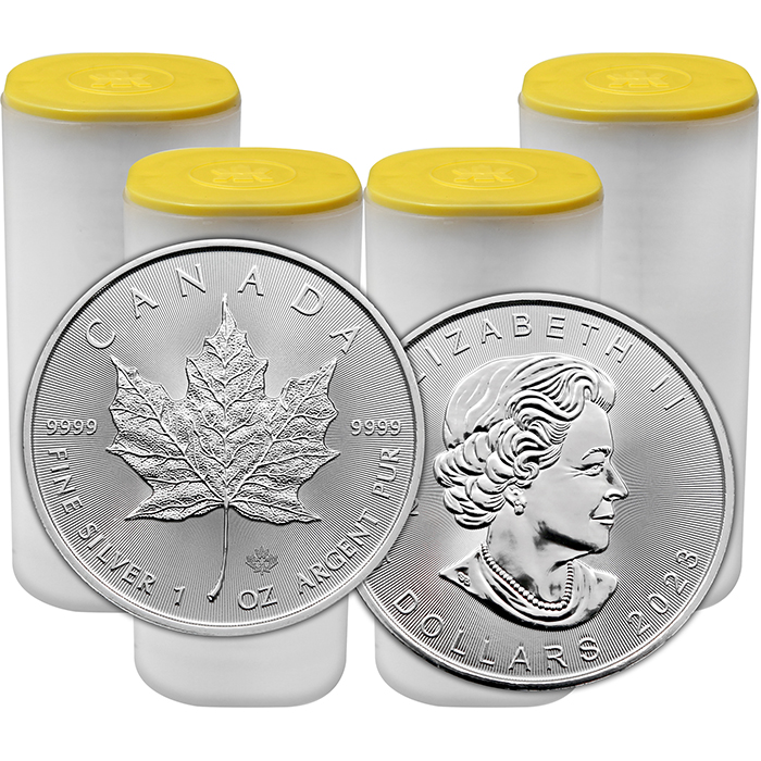 Stříbrná investiční mince Maple Leaf 1 Oz 