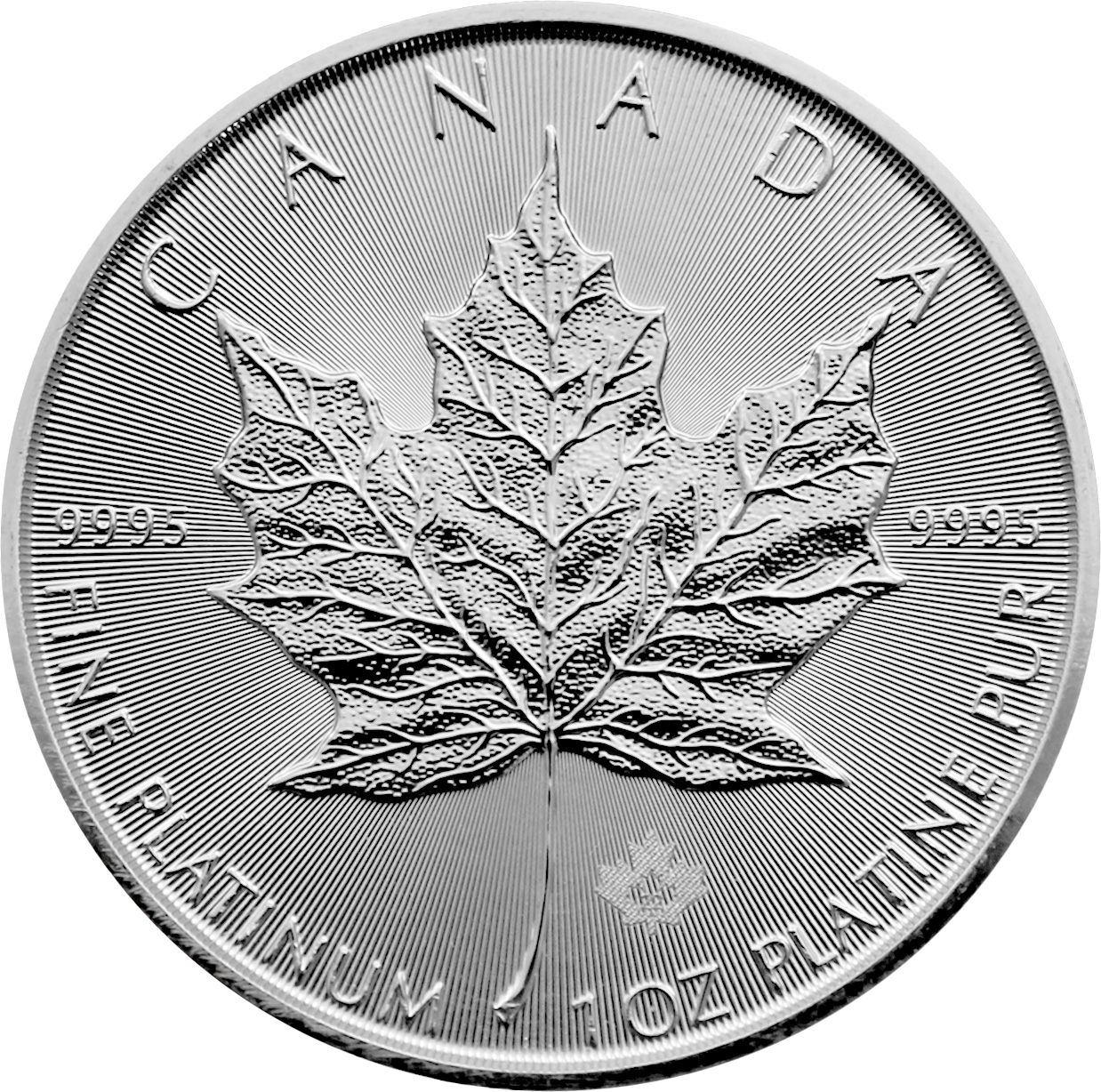 Přední strana Platinová investičná minca Maple Leaf 1 Oz