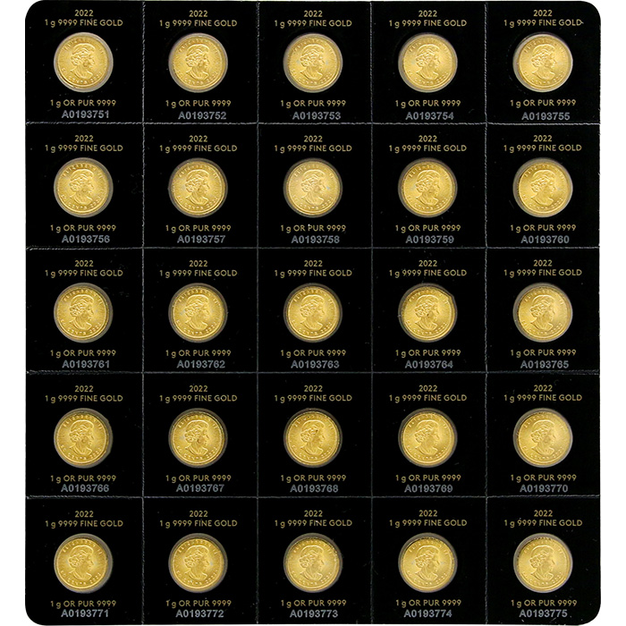 Zlatá investičná minca Maplegram25 Maple Leaf 25 x 1 gram