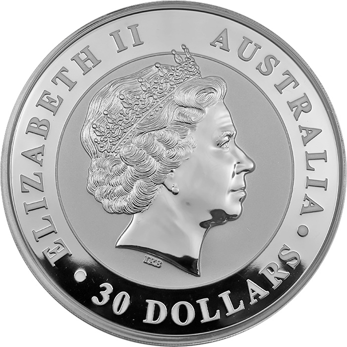 Zadní strana Strieborná investičná minca Kookaburra Rybárik 1 Kg 2011