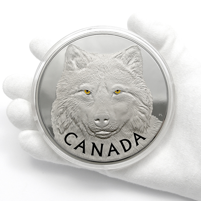 Stříbrná mince 1 Kg Očima vlka šedého 2017 Proof