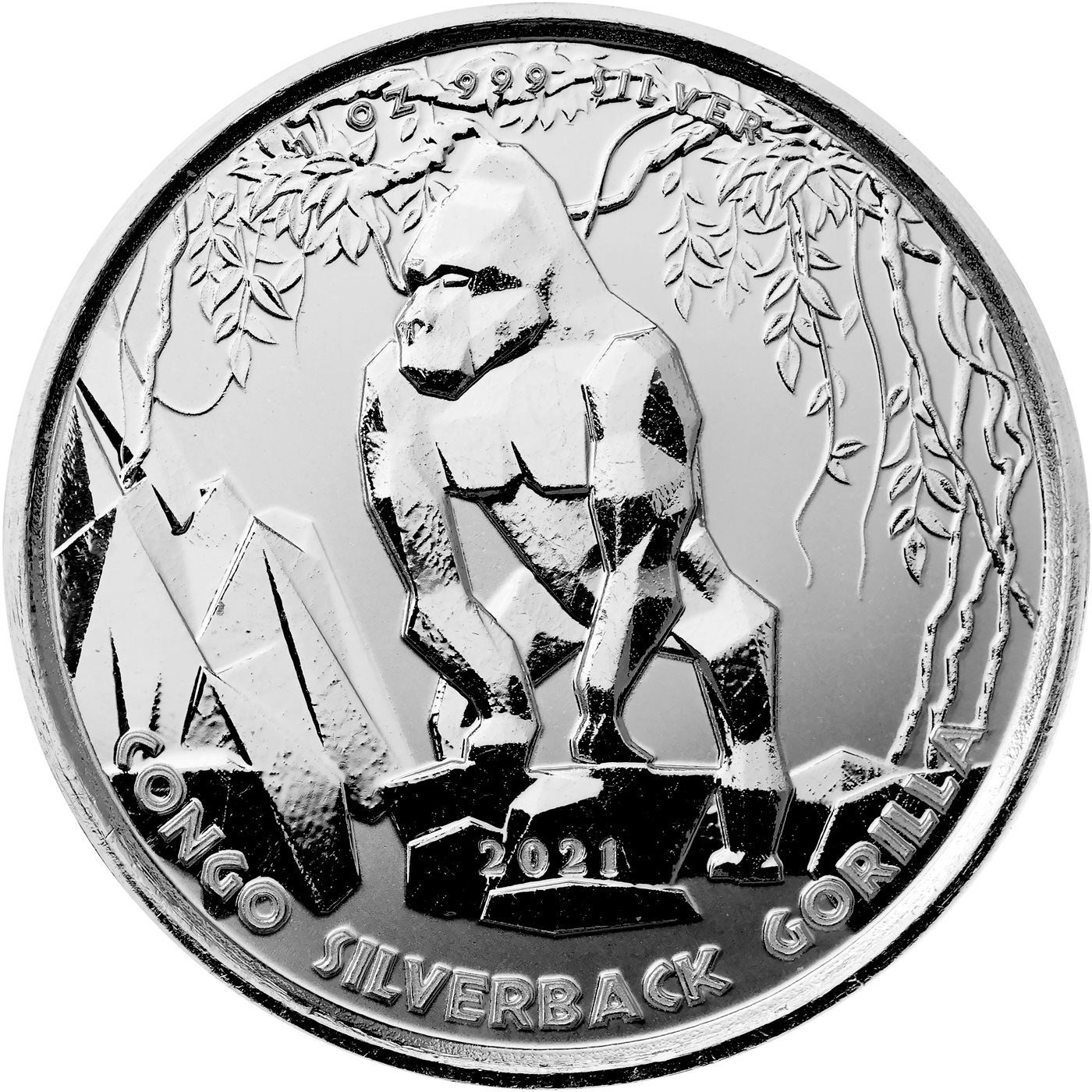 Přední strana Stříbrná investiční mince Kongo Gorila 1 Oz 2021
