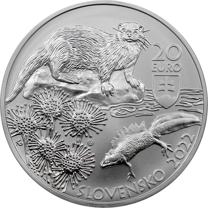 Strieborná minca Chránená krajinná oblasť Kysuce 2022 Standard