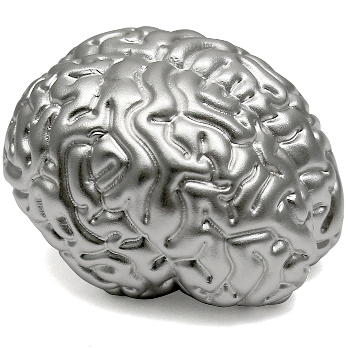 Stříbrná mince Mozek 2 Oz 2023 Proof