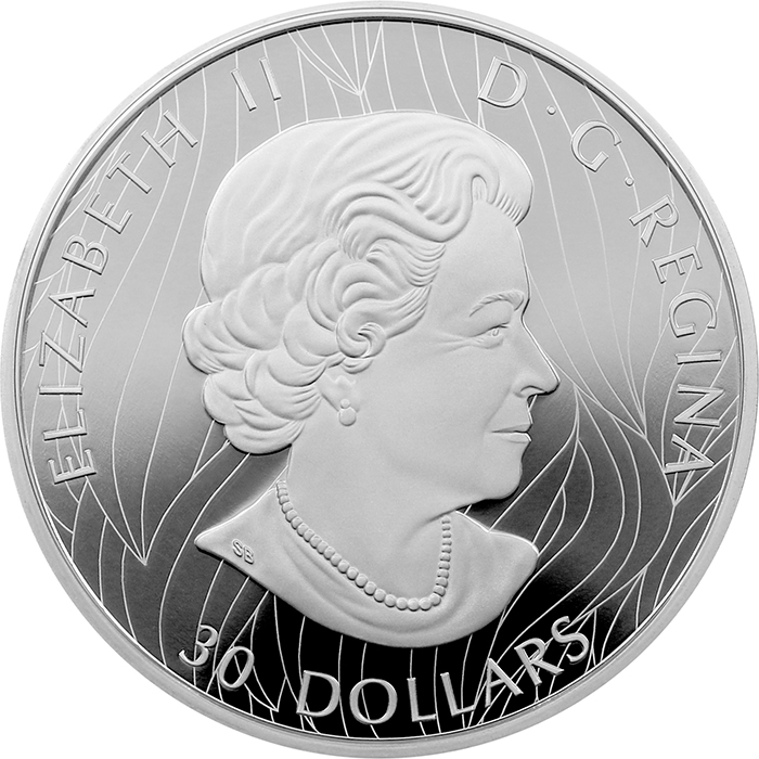 Stříbrná mince 2 Oz Mocný Bizon 2022 Proof
