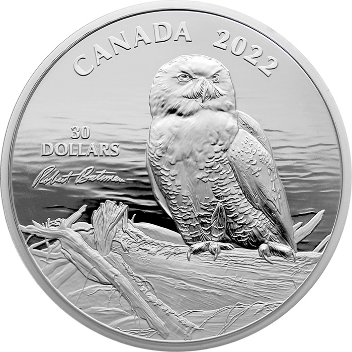Přední strana Strieborná minca 2 Oz Snowy Owl on Driftwood od Roberta Batemana 2022 Proof
