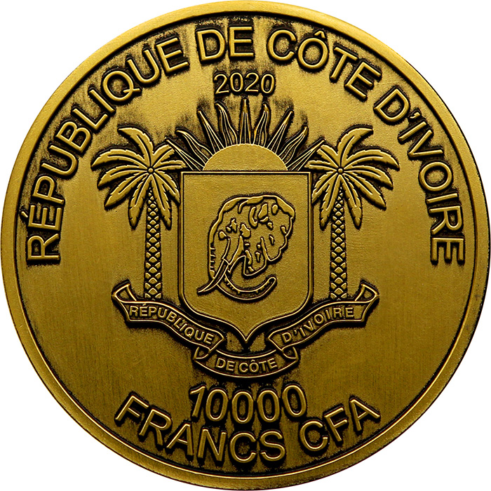 Zlatá mince 5 Oz Buvol The African Big Five High Relief 2020 Antique Standard