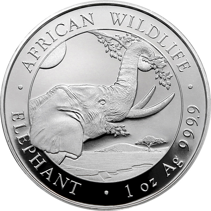 Stříbrná investiční mince Slon africký Somálsko 1 Oz 2023