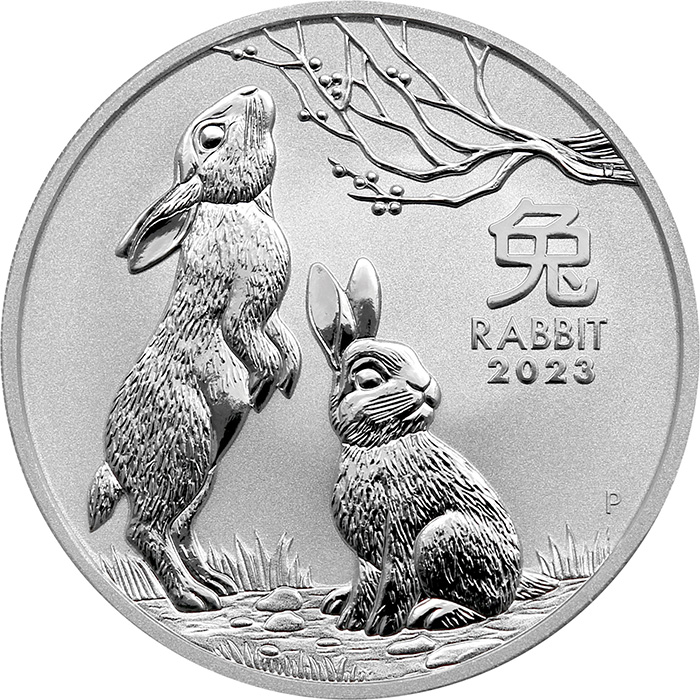 Strieborná investičná minca Year of the Rabbit Rok Králika Lunárny 2 Oz 2023