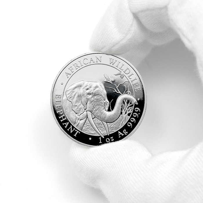 Stříbrná investiční mince Slon africký Somálsko 1 Oz 2018