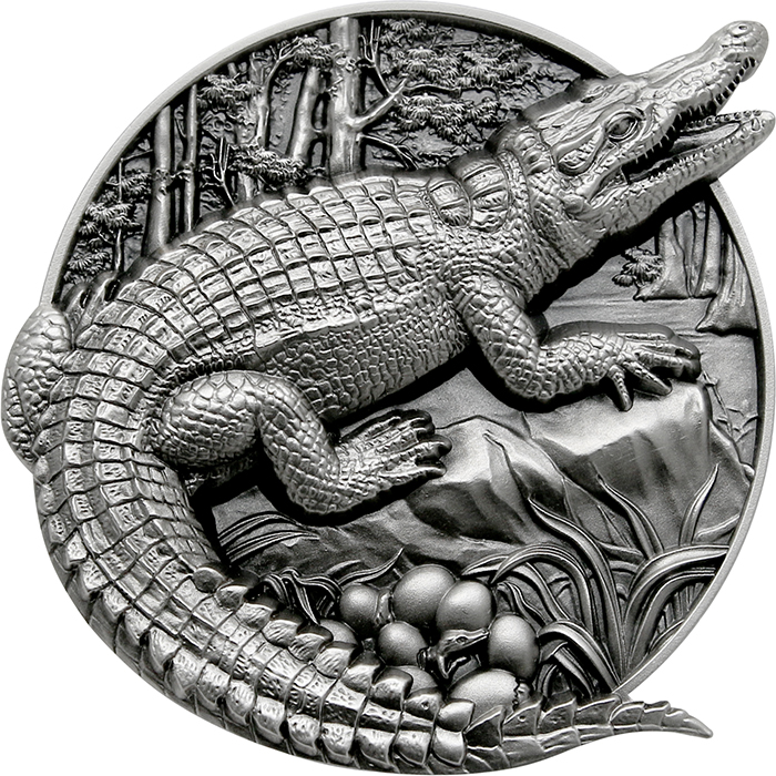 Přední strana Stříbrná mince 5 Oz Ochrana divočiny - Krokodýl 2023 Antique Standard