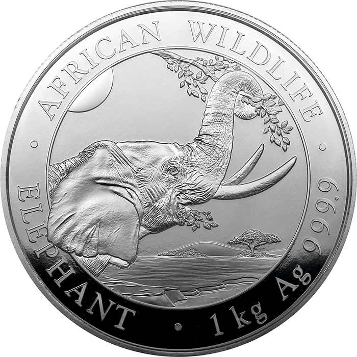Stříbrná investiční mince Slon africký Somálsko 1 Kg 2023