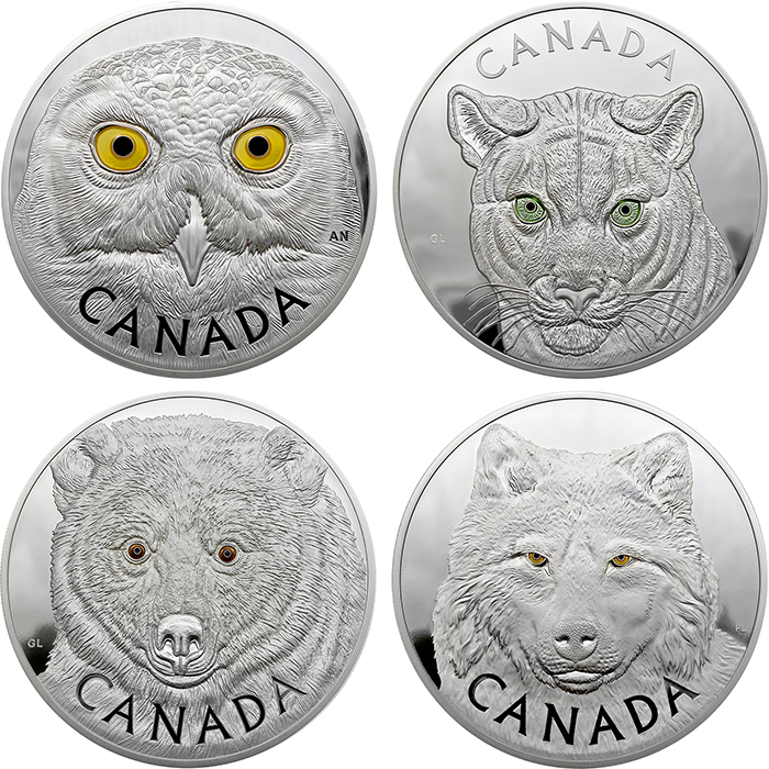 Kompletní kolekce kilogramových stříbrných mincí série In the Eyes 2014 - 2017 Proof