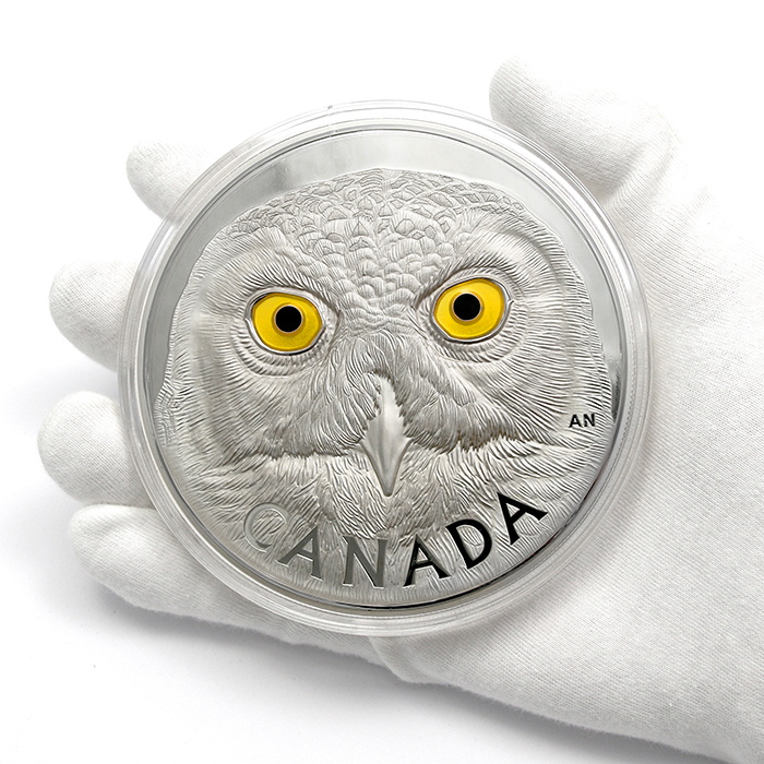 Kompletná kolekcia kilogramových strieborných mincí série In the Eyes 2014 - 2017 Proof