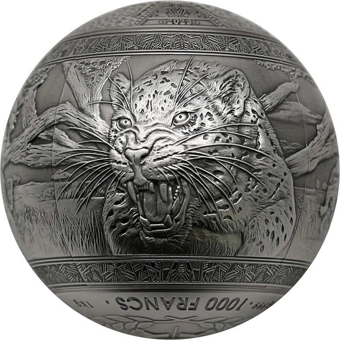 Stříbrná mince 1 Kg Big Five - Leopard 2023 Antique Standard