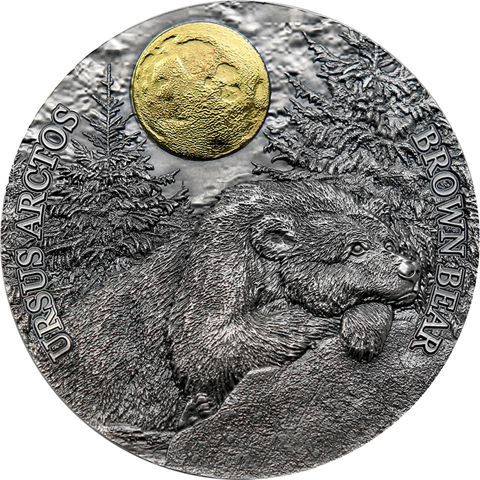 Stříbrná pozlacená mince 2 Oz Medvěd hnědý 2023 Antique Standard