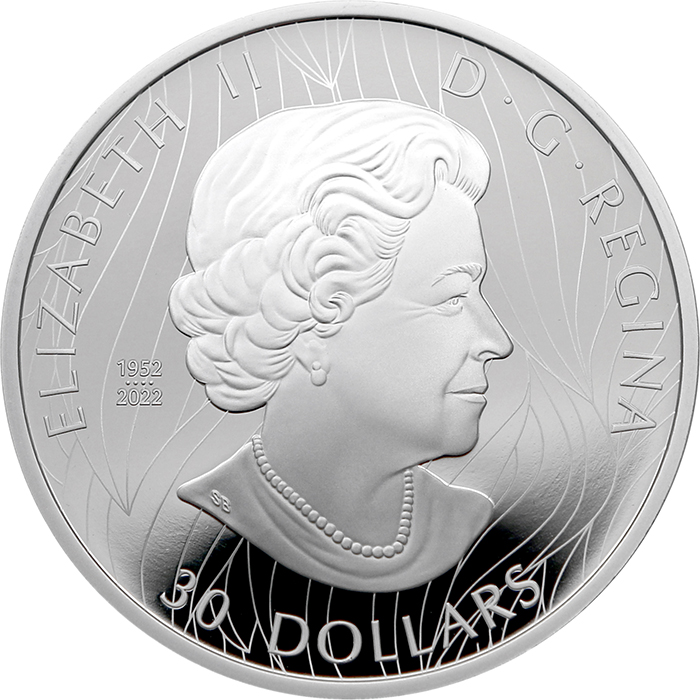Stříbrná mince 2 Oz Pozoruhodný Orel bělohlavý 2023 Proof