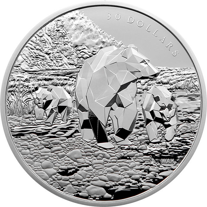 Stříbrná mince 2 Oz Zvířecí rodina: Medvědi Grizzly 2023 Proof