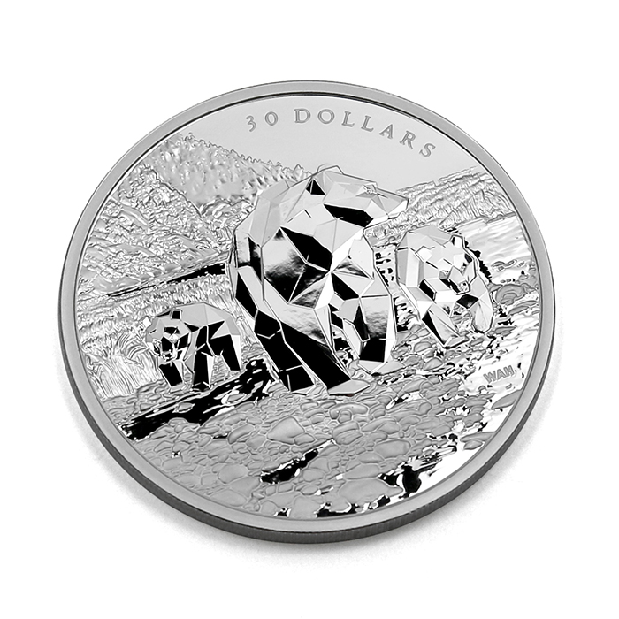 Stříbrná mince 2 Oz Zvířecí rodina: Medvědi Grizzly 2023 Proof