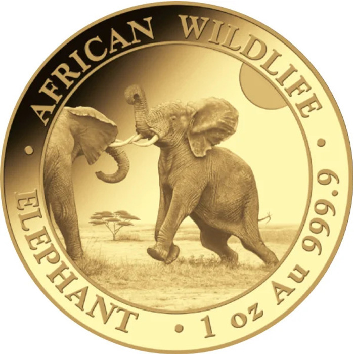 Zlatá investiční mince Slon africký Somálsko 1 Oz 2024