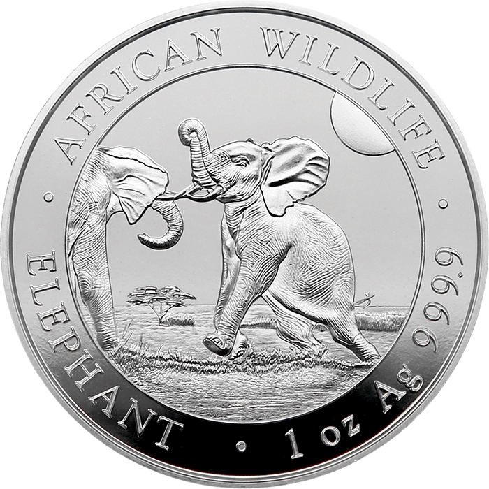 Stříbrná investiční mince Slon africký Somálsko 1 Oz 2024