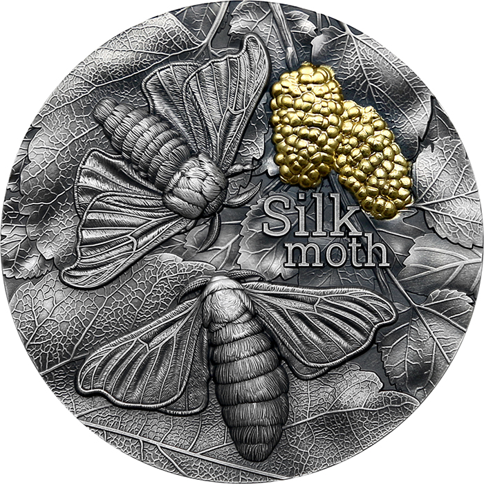 Přední strana Strieborná minca Prírodní architekti - Priadka morušová 2 Oz 2023 Antique Standard