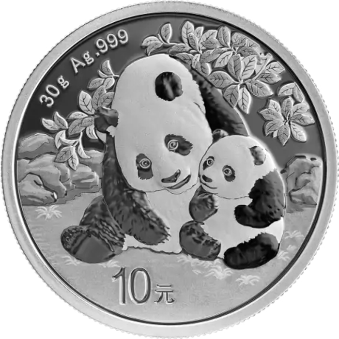 Stříbrná investiční mince Panda 30g 2024