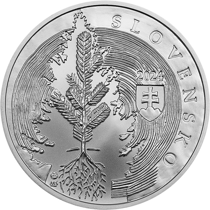 Zadní strana Stříbrná mince Jozef Dekret Matejovie - 250. výročí narození 2024 Standard