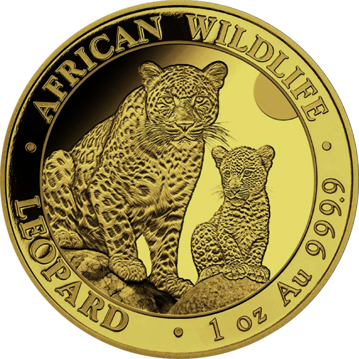 Přední strana Zlatá investičná minca Leopard Somálsko 1 Oz 2024