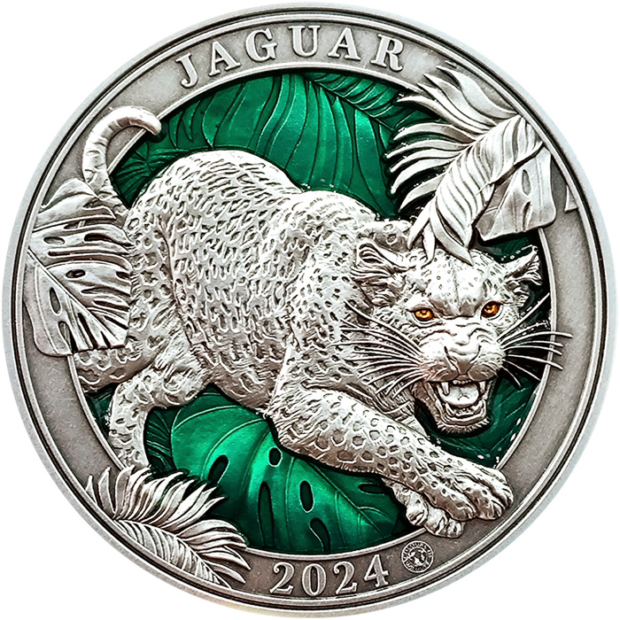 Přední strana Strieborná minca 3 Oz Farby divočiny - Jaguár 2024 Antique Standard