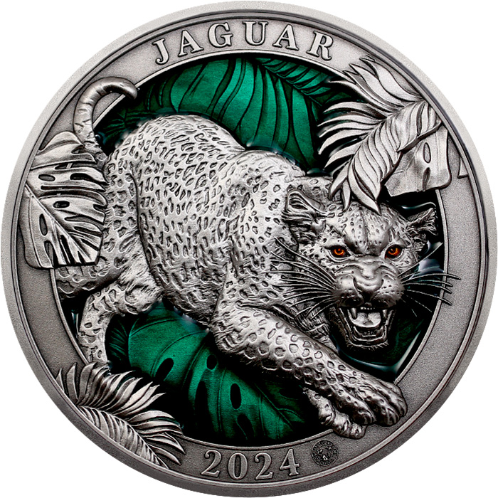 Přední strana Stříbrná mince 3 Oz Barvy divočiny - Jaguár 2024 Antique Standard