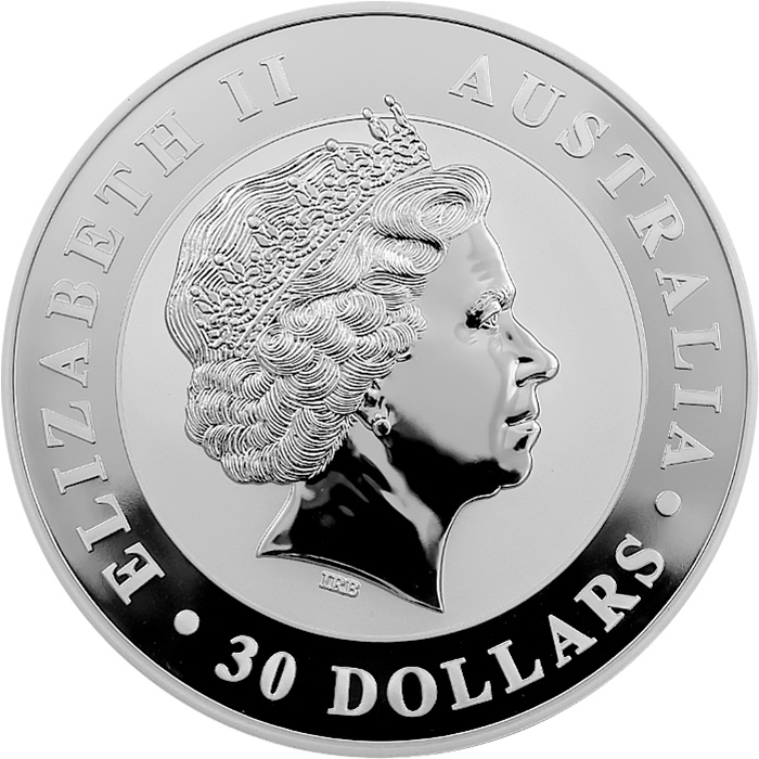 Zadní strana Stříbrná investiční mince Kookaburra Ledňáček 1 Kg 2014