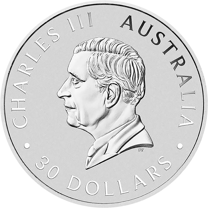 Zadní strana Stříbrná investiční mince Koala 1Kg 2024