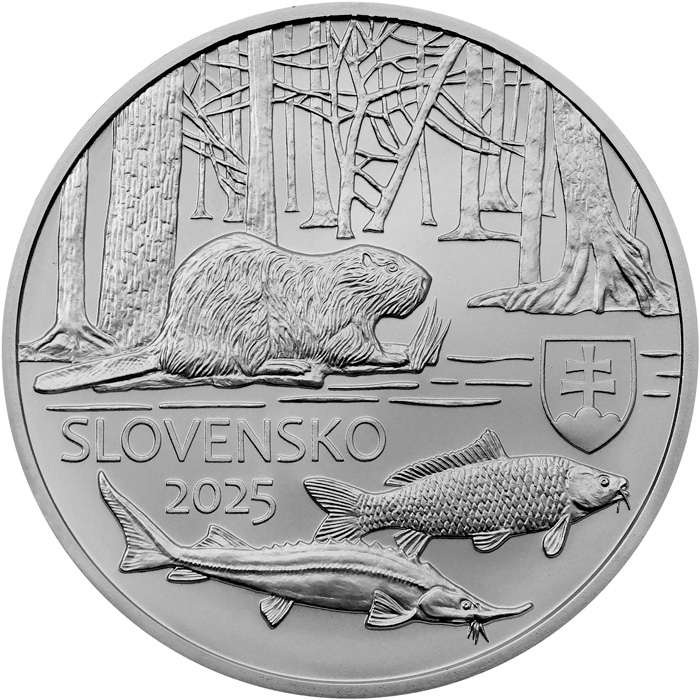 Zadní strana Stříbrná mince Chráněná krajinná oblast Dunajské luhy 2025 Standard