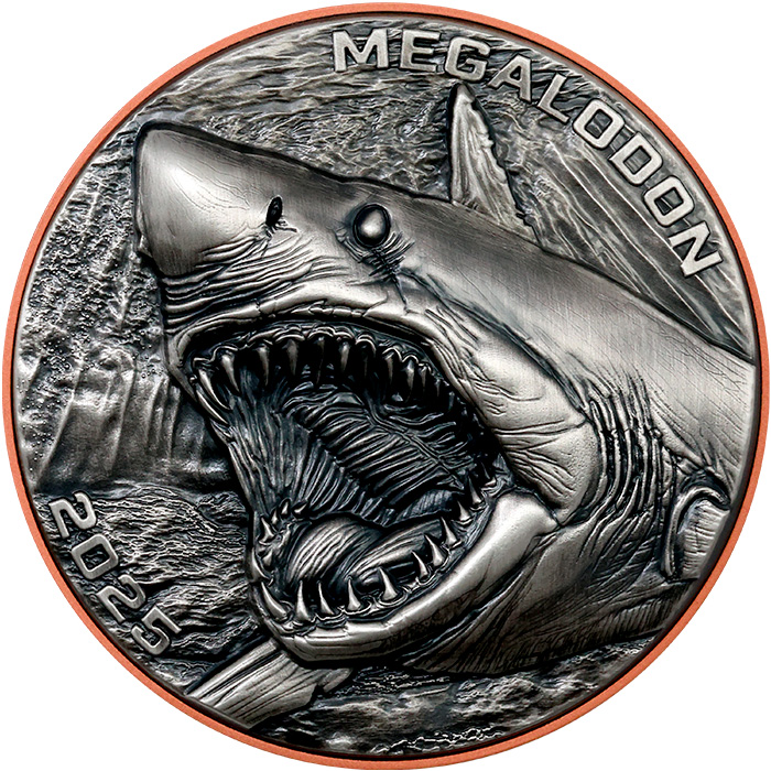 Přední strana Bimetalová minca Megalodon 2025 Antique Standard