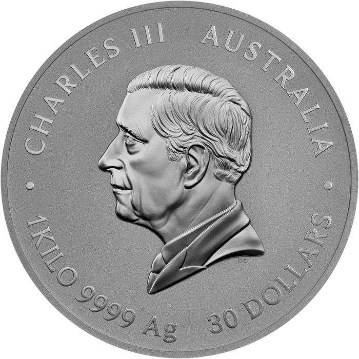 Zadní strana Strieborná investičná minca Year of the Snake Rok Hada Lunárna 1 Kg 2025