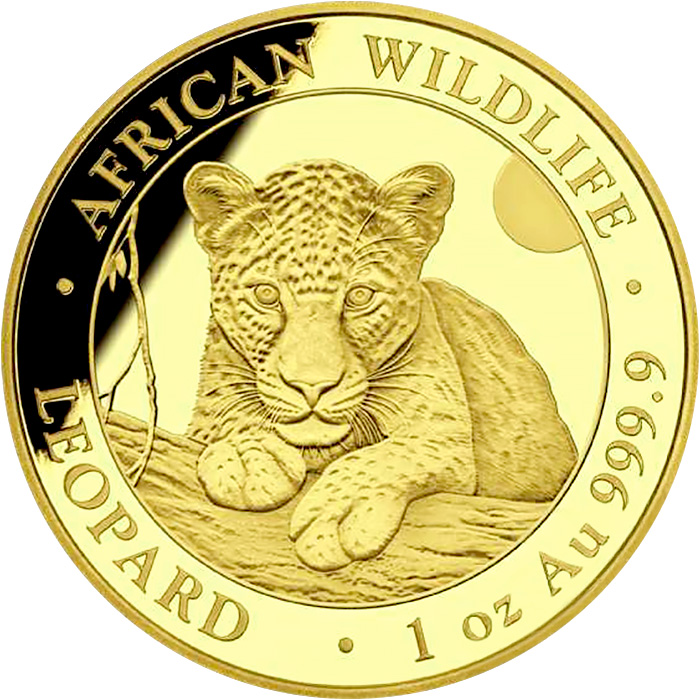 Přední strana Zlatá investiční mince Leopard Somálsko 1 Oz 2025