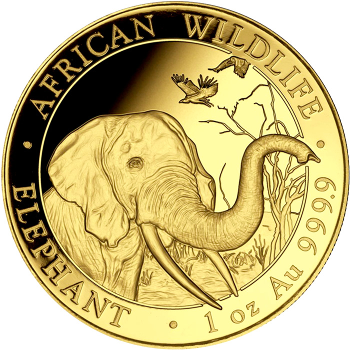 Přední strana Zlatá investiční mince Slon africký Somálsko 1 Oz 2018