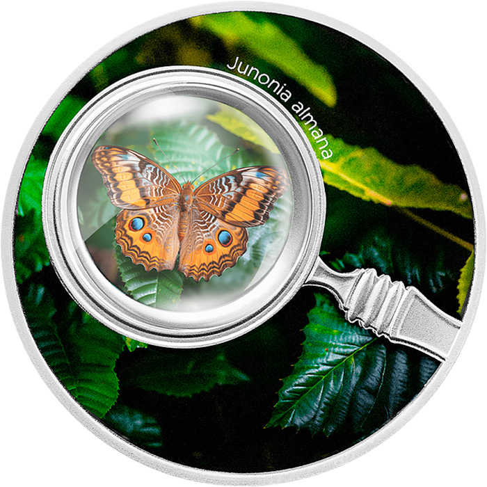 Přední strana Strieborná kolorovaná minca Motýle - Junonia almana 2024 Proof