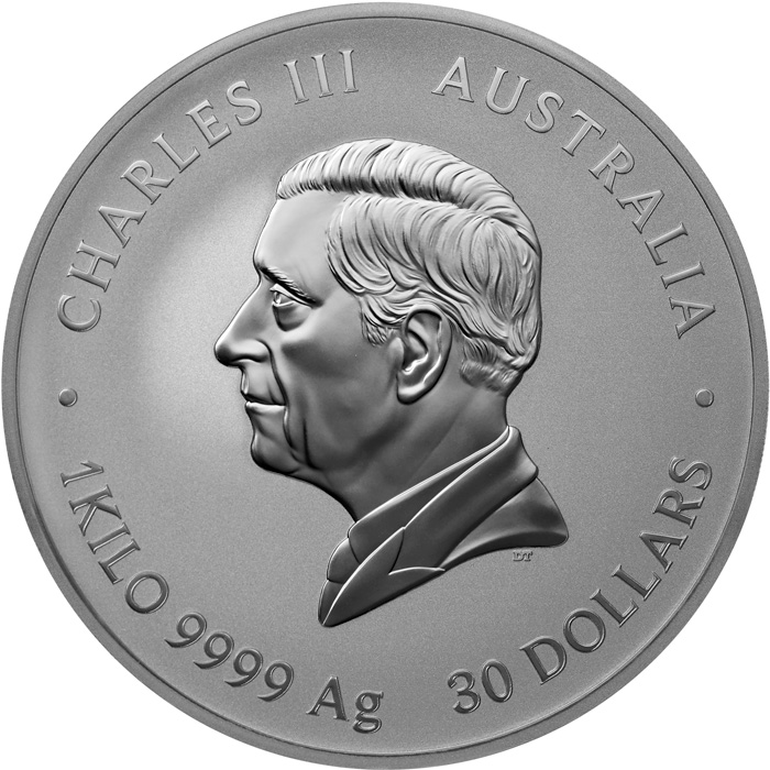 Zadní strana Strieborná investičná minca Year of the Horse Rok Koňa Lunárna 1 Kg 2026