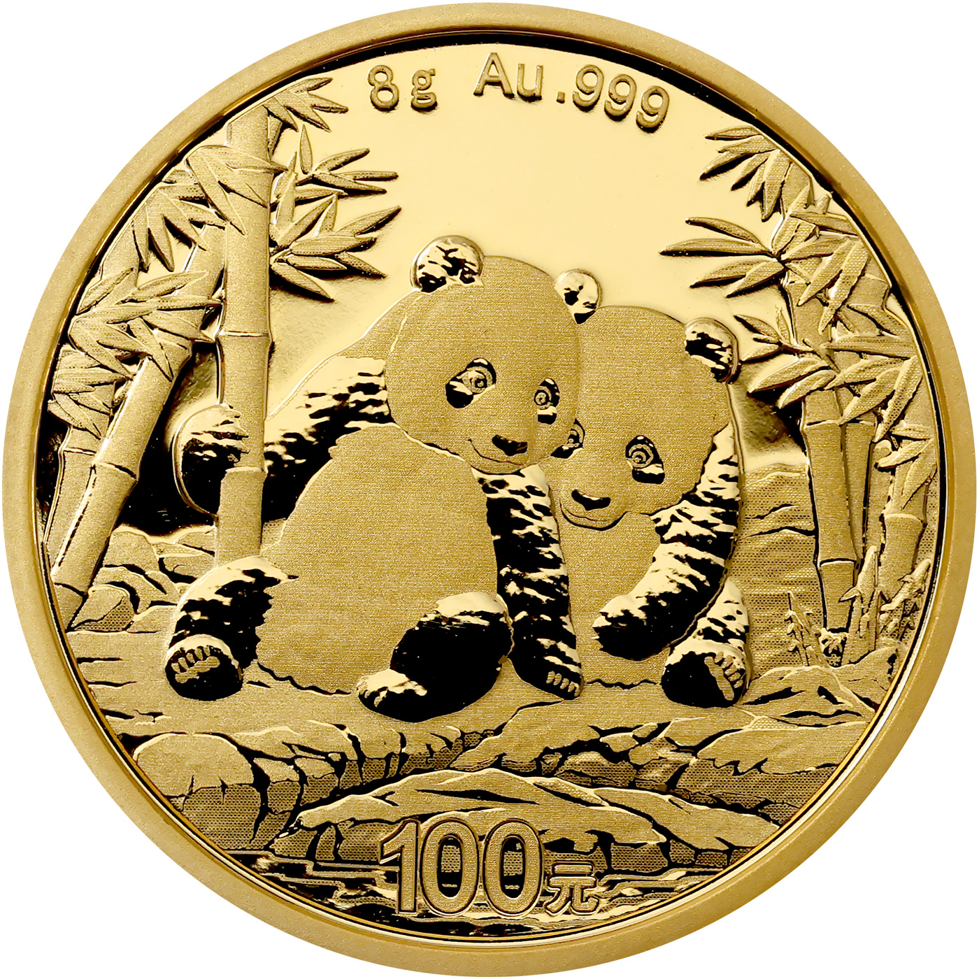 Přední strana Zlatá investiční mince Panda 8g 2026