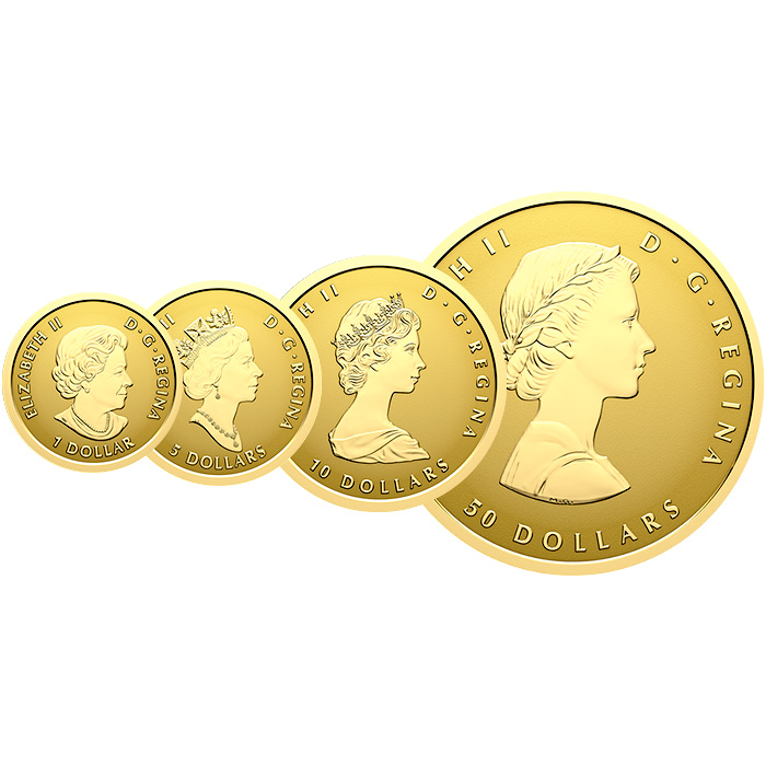 Zadní strana Maple Leaf Exkluzívna sada zlatých mincí 2026 Proof .9999