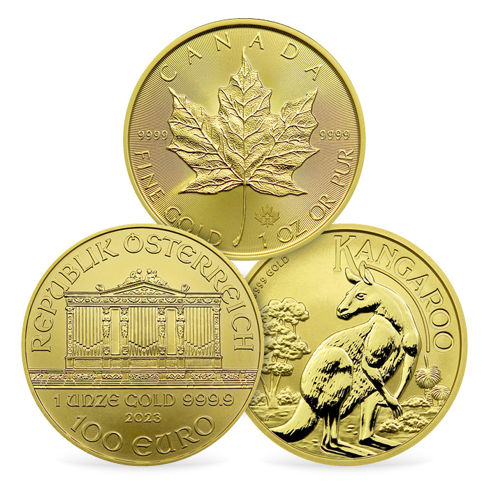 Přední strana Investiční balíček zlatých 1 Oz mincí